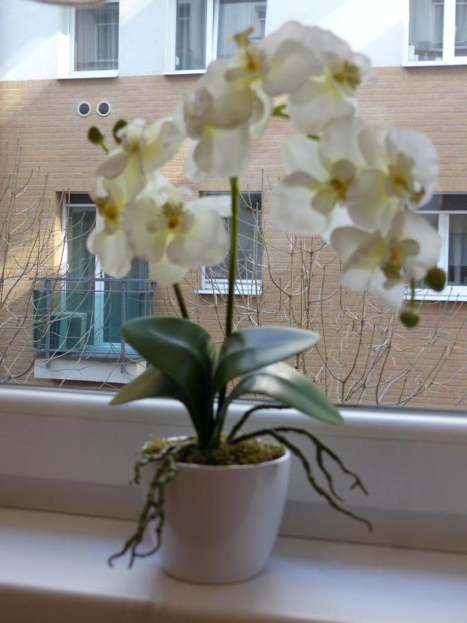 Avanti Apartament *